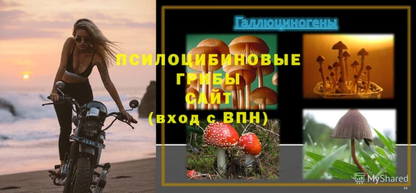 spice Белоозёрский